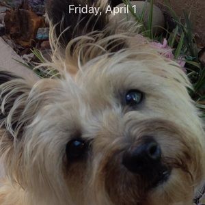 Meet your Posher, Karen